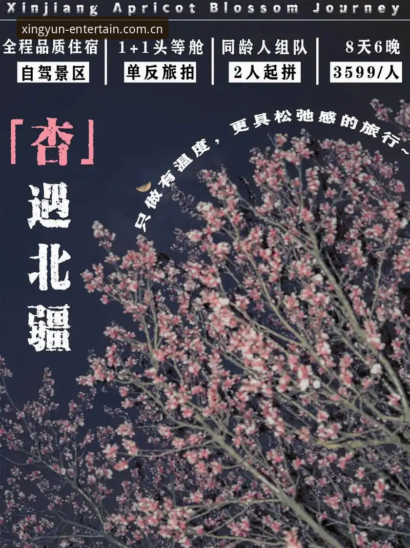 2025杏运娱乐平台数据稳定下载问题全面解析：从技术瓶颈到解决方案的深度分析